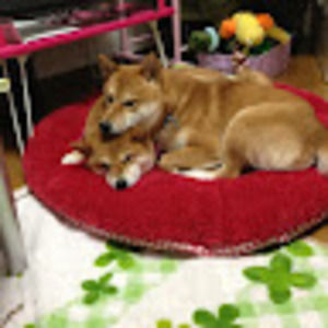 Meet your Posher, Hime riki